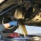 Pachet Revizie Ulei si Filtre VW Golf 5 1.9 si 2.0 TDI (include manopera!)