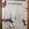 NEUROLOGIA volumul I -- A. Kreindler - 1971, 412 p.