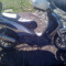 piaggio beverly active 2000