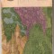 (C1097) AMINTIRI DE CALISTRAT HOGAS, EDITURA PENTRU LITERATURA, BUCURESTI, 1967, PROZA, VOLUMUL AL II-LEA