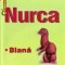 Dariusz Wolski - Nurca
