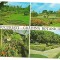 carte postala- BUCURESTI- Gradina botanica