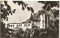 Foto  - 1