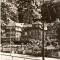 R-10069 Romania, RPR, Sovata - Clubul, circulata