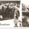 CPI (B747) BAILE HERCULANE, EDITURA, CPCS, CIRCULATA, 18.11.1957, STAMPILE, TIMBRU