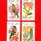 ST-13=VENDA 1981 Pasari Mi 38-41 MNH