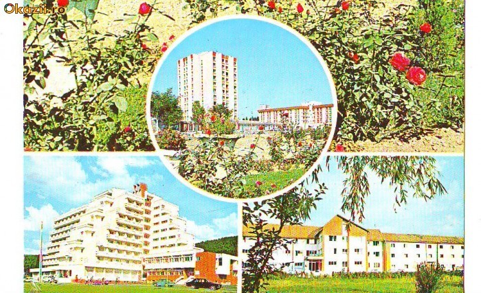 S 10589 COVASNA VEDERE CIRCULATA