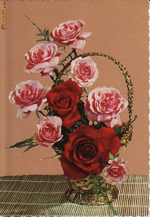 ilustrata flori - editata Italia