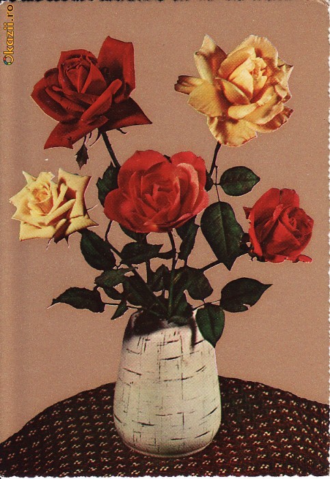 ilustrata flori - editata Italia