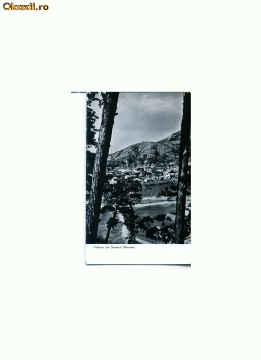 CP176-91 Vedere din Simleul Silvaniei -circulata 1964