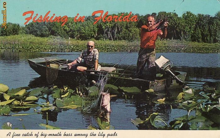 Pescuit In Florida SUA -vedere