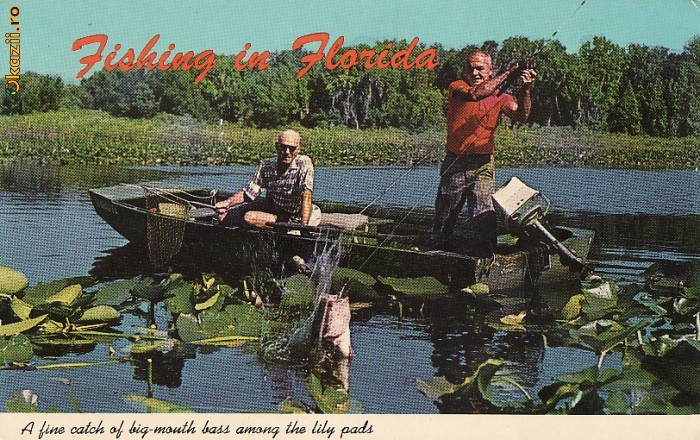 Pescuit In Florida SUA -vedere Pescuit In Florida SUA -vedere