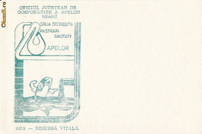 Intreg postal Neamt-tema mediu