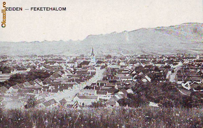 B2969 Coldlea necirculata 1915