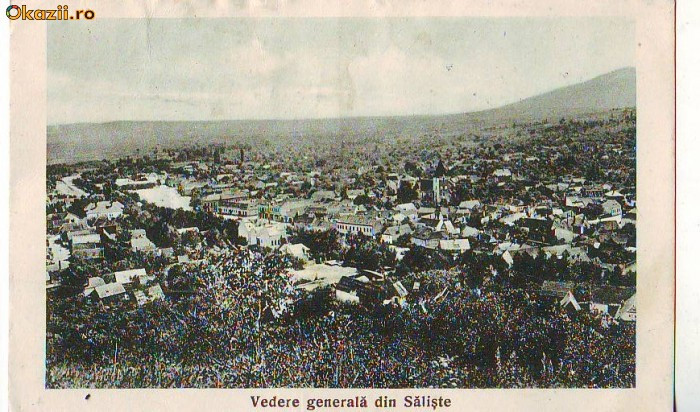 B3008 Sibiu Saliste circulata 1929