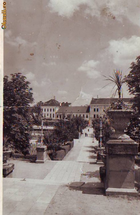 6204 Sangeorz Bai Parcul circulata 1943 6204 Sangeorz Bai Parcul circulata 1943
