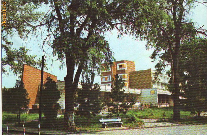 S11769 BRAILA Lacul Sarat CIRCULAT 1981