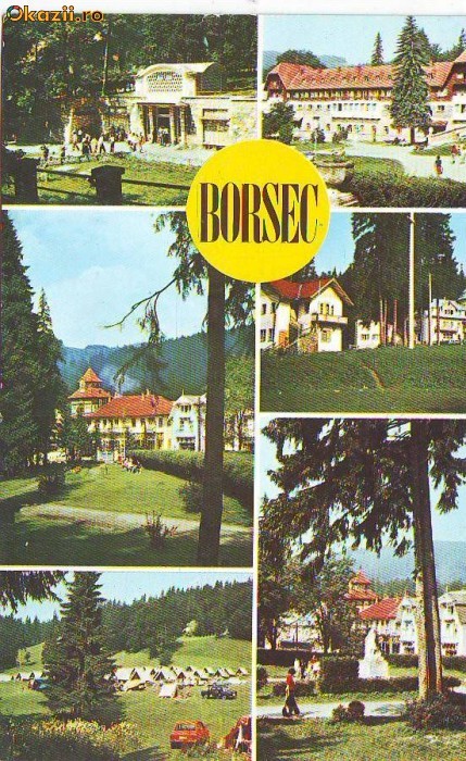 S12099 BORSEC CIRCULAT 1982 S12099 BORSEC CIRCULAT 1982