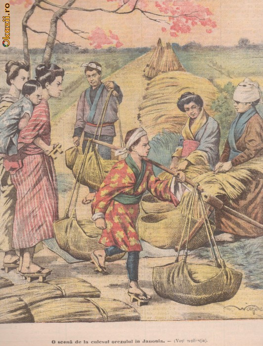 Ziarul Universul : culesul orezului in Japonia (1904,gravura)
