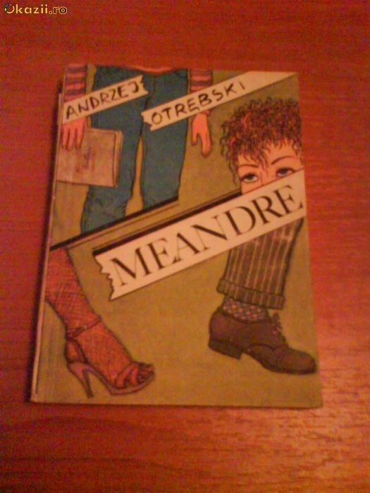 1317 Andrej Otrebsky-Meandre 1317 Andrej Otrebsky-Meandre