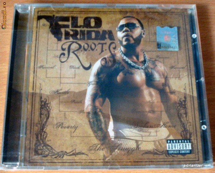 Flo Rida - Roots