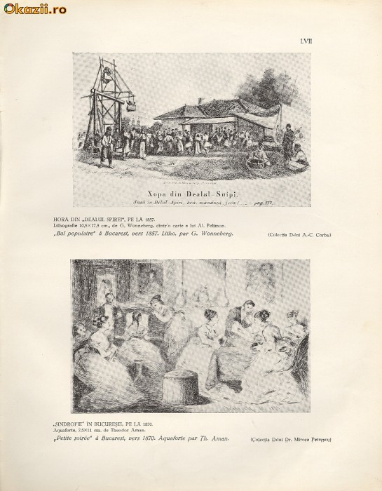 Plansa -Hora Dealul Spirei-1857-Sindrofie-1862