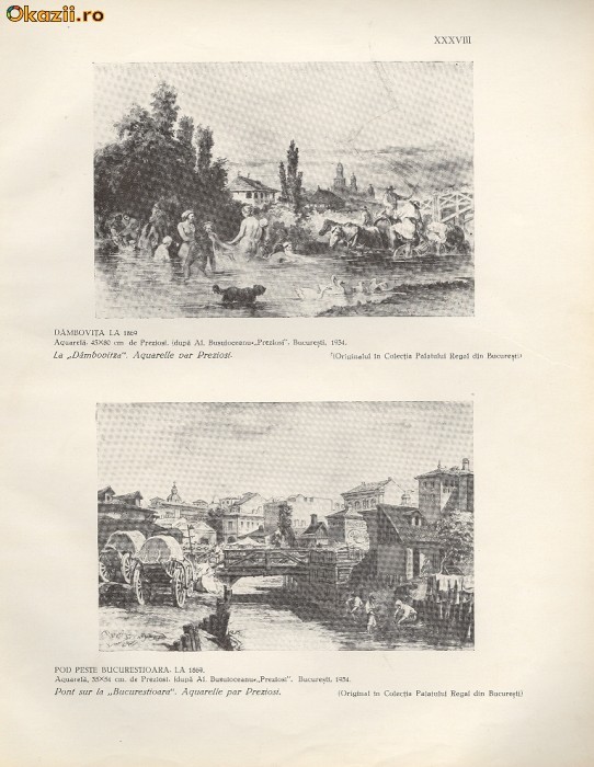 Plansa - Dambovita si pod peste Bucurestioara-1869