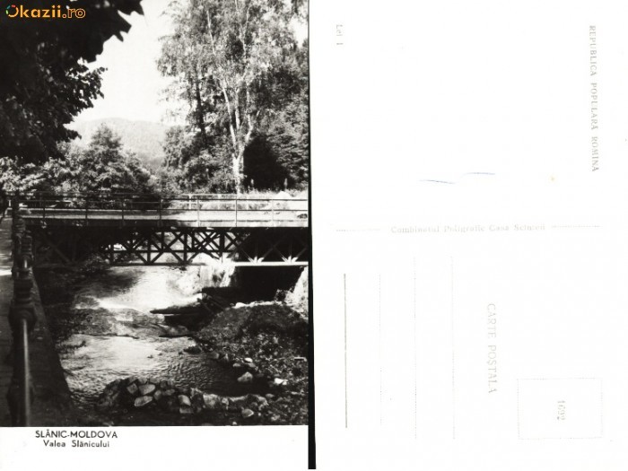 Carte postala ilustrata Valea Slanicului, Slanic Moldova