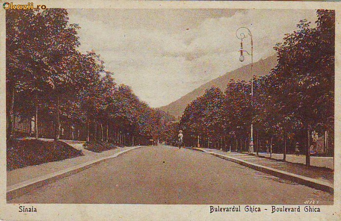 Bo144 Sinaia Bulevard Ghica necirculata