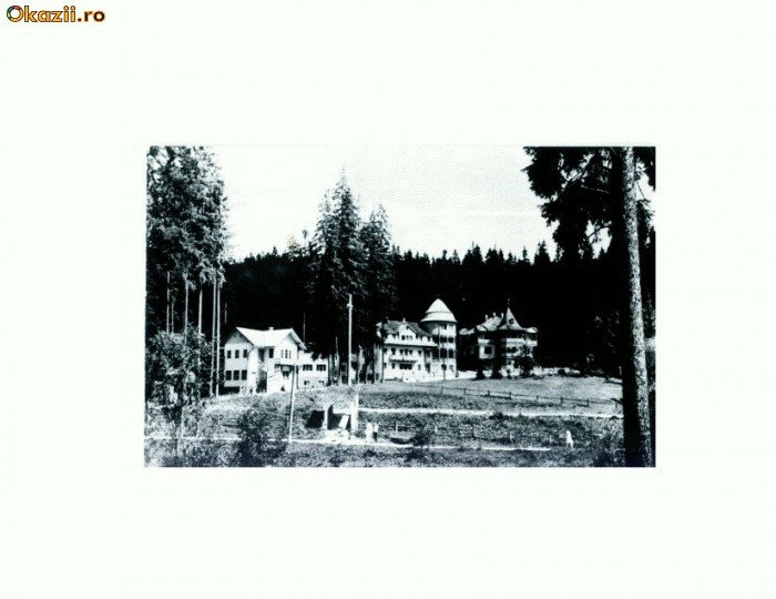 CP114-48 -Borsec -circulata 1968