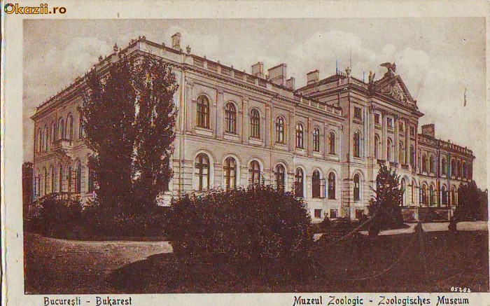 B3279 Bucuresti Muzeul Zoologic necirculata B3279 Bucuresti Muzeul Zoologic necirculata