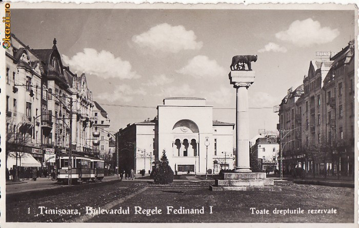 Timisoara - Bulevardul Regele Ferdinand, Statuia Lupoaica-tramvai