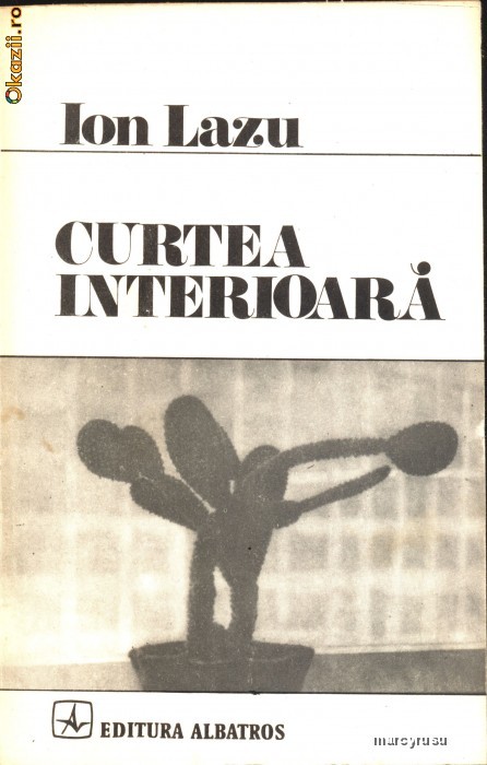 Curtea interioara