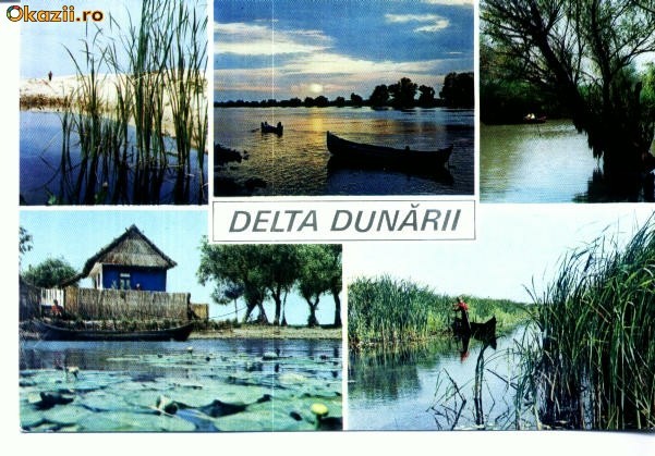 CP84-44 -Delta Dunarii CP84-44 -Delta Dunarii
