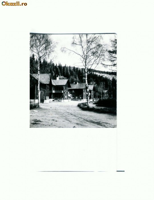 CP114-29 -Muntii Cibinului -Complexul turistic Paltinis -RPR1965 CP114-29 -Muntii Cibinului -Complexul turistic Paltinis -RPR1965