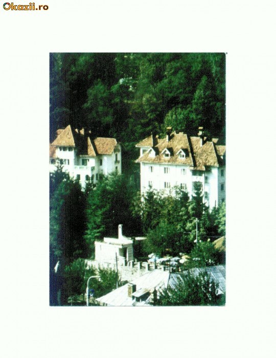 CP115-98 -Olanesti -Vedere -circulata 1985