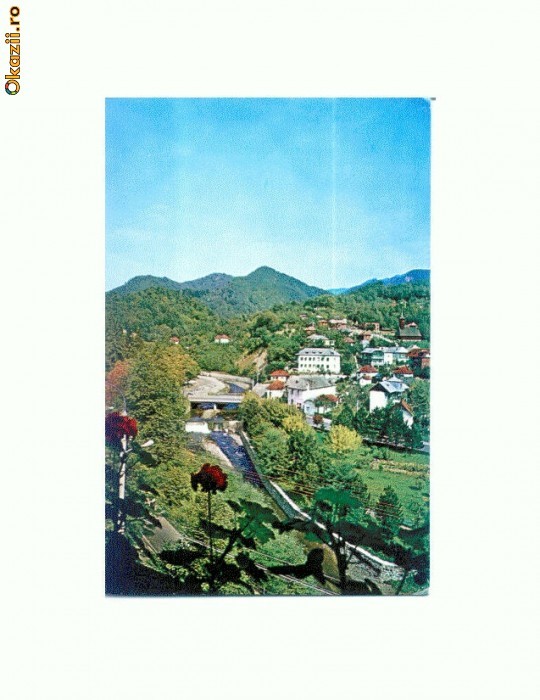 CP115-86 -Olanesti -circulata 1974(pod)