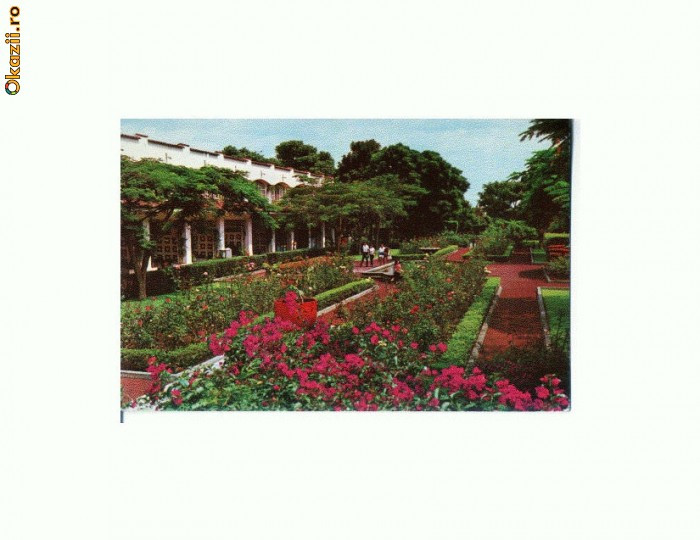 CP180-87 Jardin Hotel de la Selva (Mexic)-necirculata