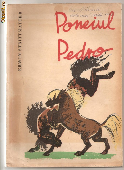 (C116) PONEIUL PEDRO DE ERVIN STRITTMATTER, EDITURA TINERETULUI, BUCURESTI, 1962