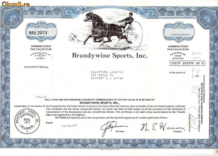 207 Actiuni SUA -Brandywine Sports, Inc. -seria BRU 2073
