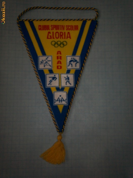 22 Fanion - CLUBUL SPORTIV SCOLAR GLORIA ARAD