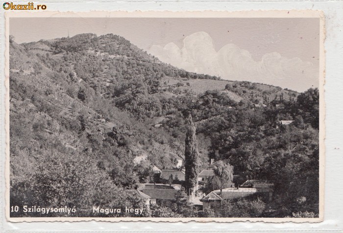 B11202 Simleul Silvaniei circulata 1912