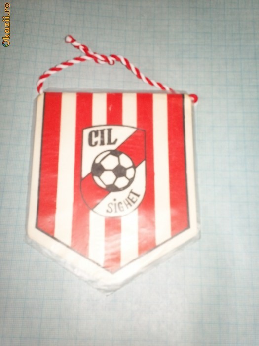 110 Fanion - CIL SIGHET