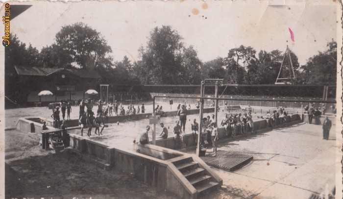 B11579 Baile Buzias Strand necirculata