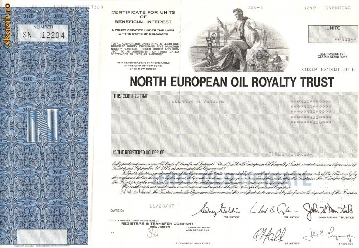 632 Actiuni -North European Oil Royalty Trust -seria SN 12204