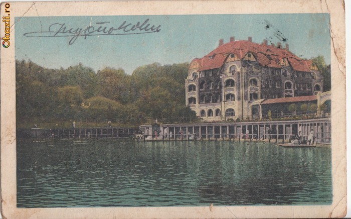 B14809 Baia Ocna circulata