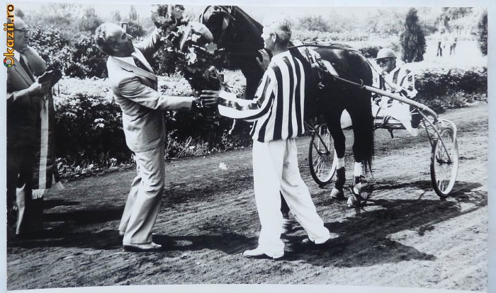 Fotografie de la un concurs hipic pe hipodromul din Ploiesti , 1979 , curse cai