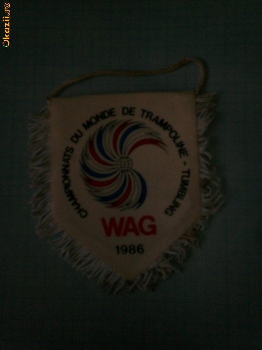 407 Fanion Campionatul Mondial de Sarituri de la Trambulina-(Franta)1986