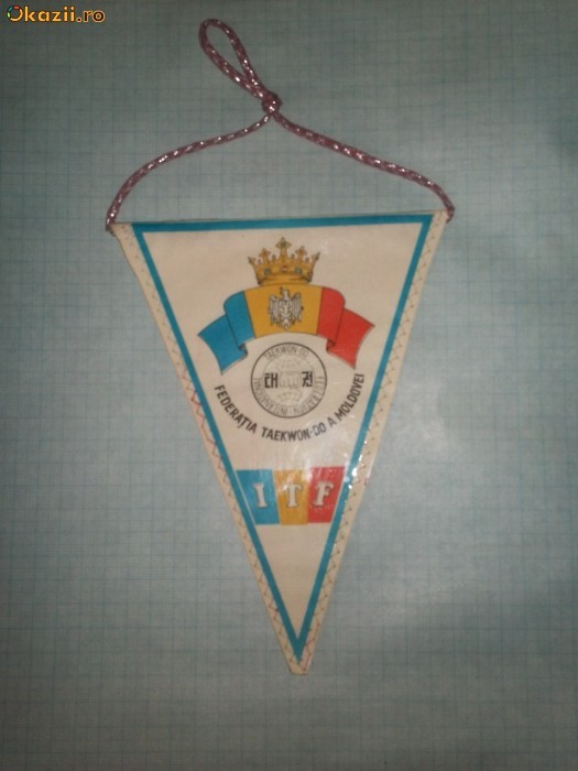 434 Fanion FEDERATIA TAEKWON-DO A MOLDOVEI