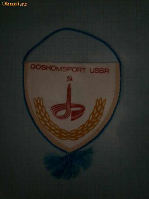 438 Fanion GOSKOMSPORT USSR (URSS)